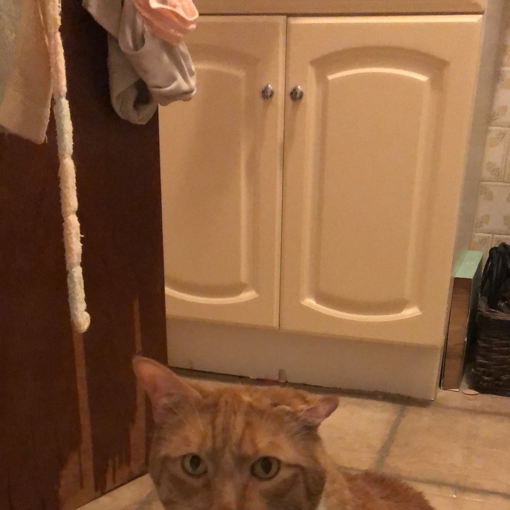 Meet your Posher, Kaitlyn